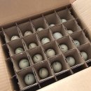 순천청계농장 이미지