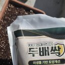 슬기로운 초록생활, 홈가드닝 | 두배싹 미생물비료 텃밭 화분 관리, 특허받은 토양개량제 사용 후기