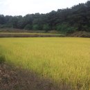 부호부동산공인중개사사무소 이미지