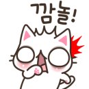 헤어샵 비단결