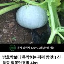 [8월 일상] 더위 먹어도 입맛은 좋더라👊🏻