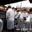 보은고등학교 이미지