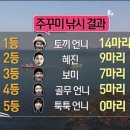 바다쭈꾸미 이미지