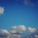 한라소프트 이미지