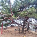 벤치 쉼터 Daum카페