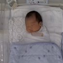 노블맘 산후조리원 | 노블맘 산후조리원 후기