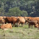 화성1리경로당 이미지