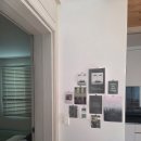 하하스테이 이미지