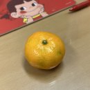 영동 해피 팜 | 이제 잔뜩 부푼 바다를 유영하러 갈게