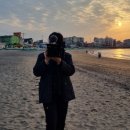더시퀀스오피스 이미지