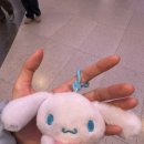 야호게임장 이미지