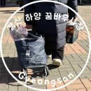 하양꿈바우시장 | 경산 하양 맛집 다무까 국수 보리밥 + 하양 꿈바우시장