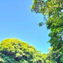 노인회지회 이미지