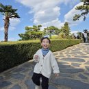 여수 밤바다 불꽃 관광(1박2일) 이미지