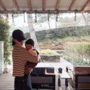 엠버퓨어힐 호텔앤리조트 | 제주도 5성급 호텔 엠버퓨어힐 제주 아기랑 호캉스 숙소 추천