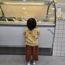 [대전] 유성구 젤라또 아크림 도룡점 내돈내산 후기 – 아이스크림 맛집 추천