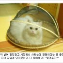 호호