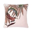 이오시스 이미지