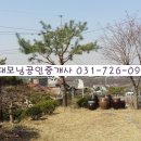 현대모닝공인중개사사무소 이미지