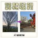안성조경건설(주) | 진천 벌목 조경 업체 공장 주변 작업 후기