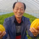 다온농장 이미지