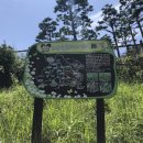 산청 동의보감촌 | 산청 동의보감촌 후기｜아이랑 가볼만한곳, 넓고 한적해서 좋았던 곳