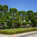 노성초등학교 이미지