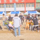 이천초등학교유치원 이미지