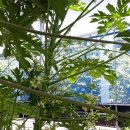 원주농장 이미지