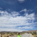 태연주유소 | 조슈아 트리 투어(개인투어vs 여행사투어) 개인투어편