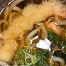쫄깃한 면발의 끝판왕! 연희동 블루리본 맛집 [우동카덴]