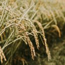 에프엠씨코리아 이미지