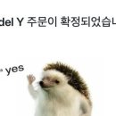 New 모델 Y_기다림의 나날들..(2)