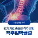 서현탑정형외과의원 | [서현역정형외과] 조기 치료 중요한 척추 질환 척추압박골절