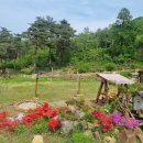 왕곡애견동반펜션 이미지