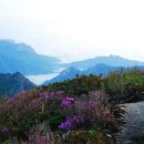 설악울산바위식당 이미지