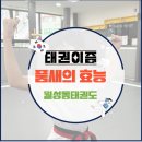 태권이즘 태권도장 네이버블로그