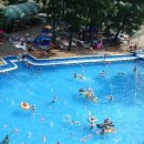 파라다이스 수영장 이미지