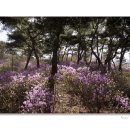 개화2리마을회관 이미지