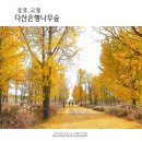 나무랑숲 이미지