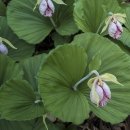 수산리농장 이미지