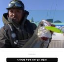 메가배스 도그 엑스 디아망테 농어 실전 후기 — 한 포인트만 봐도 충분한 빅 탑워터