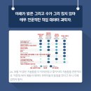 드림파인더 이미지