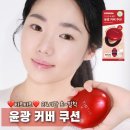 레드기획 | 올영세일 놓칠 수 없는 티르티르 레드 쿠션 기획 세트 후기