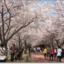 낙동강제방(1) 이미지