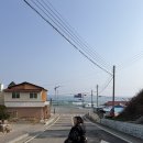 갈매기회타운 | 묵호여행 1박2일 웨이팅 없이 여유있게(1)