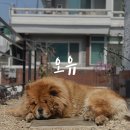 카페오유 - 서귀포시 중앙로72번길 45-2 | 카페오유