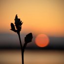 김광석 빛 길 이미지