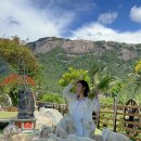 미현목장 이미지