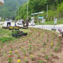 방산면사무소 이미지